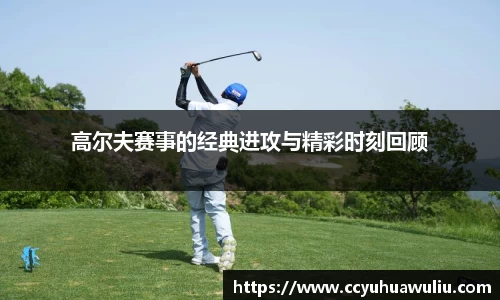 bg大游app